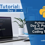 Coding_Vibes_Day2_Python_Tutorial